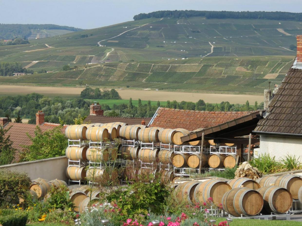 Champagne wine region private day tour from Paris – cellar visits, grand cru tasting, Reims Cathedral